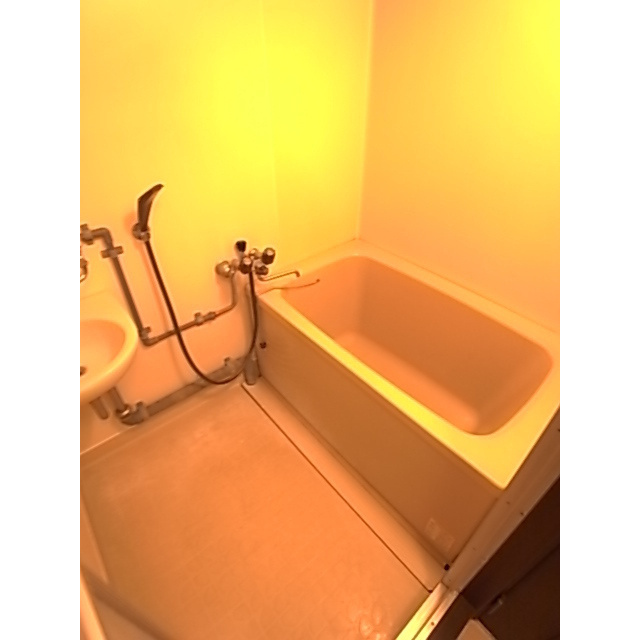 ロックフィル瀬下の浴室|日々の疲れを癒すお風呂付です