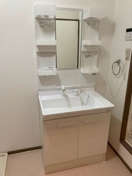 メゾン・ド・アヴァンセの洗面所