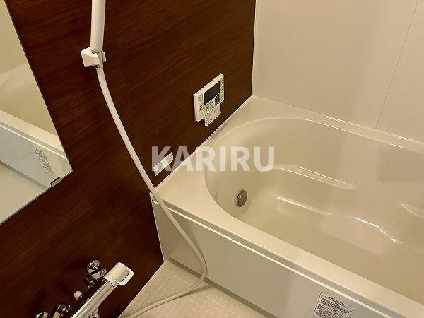 グランパシフィック生野東の浴室