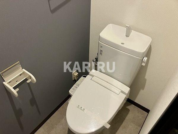 グランパシフィック生野東のトイレ