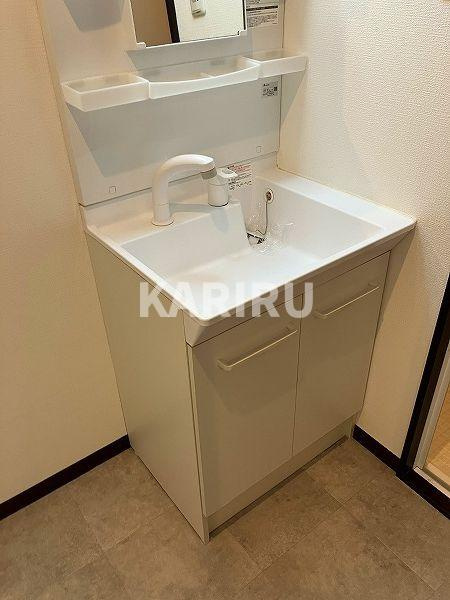 グランパシフィック生野東の洗面所