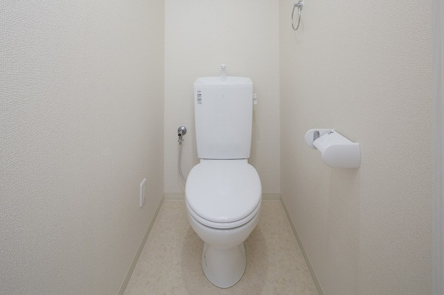 ソレアードⅥのトイレ|現状優先です。