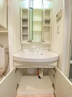 【洗面所】 | KDXレジデンス難波南 | KDXレジデンス難波南(ケーディーエックスレジデンス難波南)　独立洗面化粧台