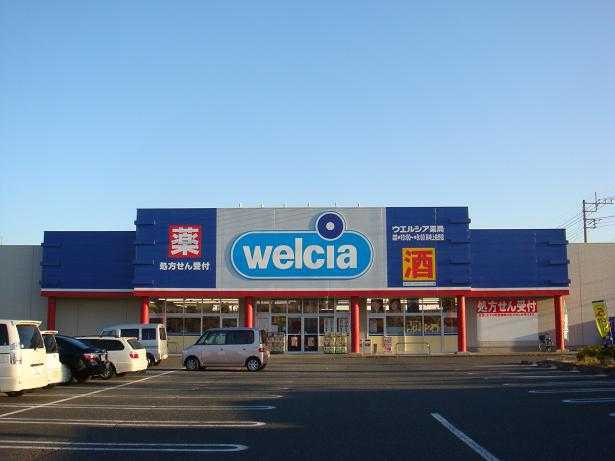 サンクリスタルの周辺|ウエルシア高崎上佐野店まで1,177ｍ