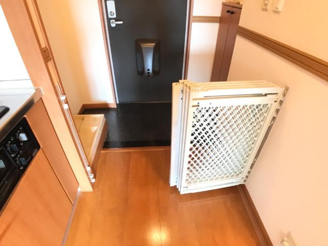 ちゅらストリームのその他|ペット用柵