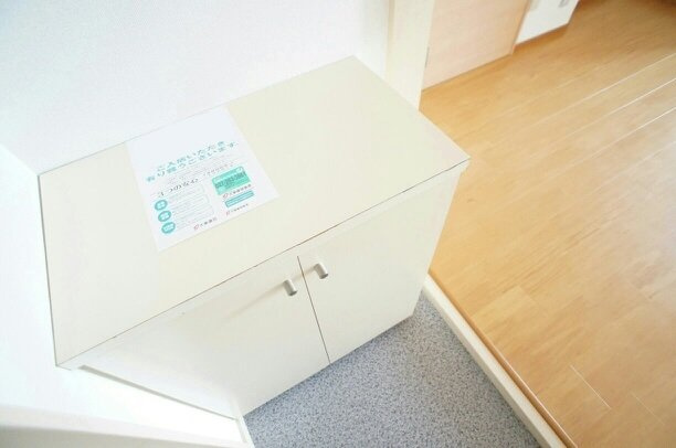 ヒロパレスⅡの玄関