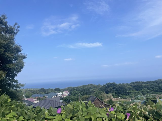 富戸　土地