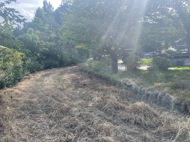 富戸　土地の前面道路含む現地写真|道路から続く敷地部分