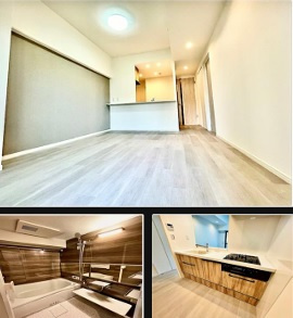 ドラゴンマンション橋本伍番館のその他|内装