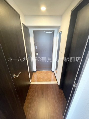 東大阪市長田中１丁目の賃貸マンションの玄関