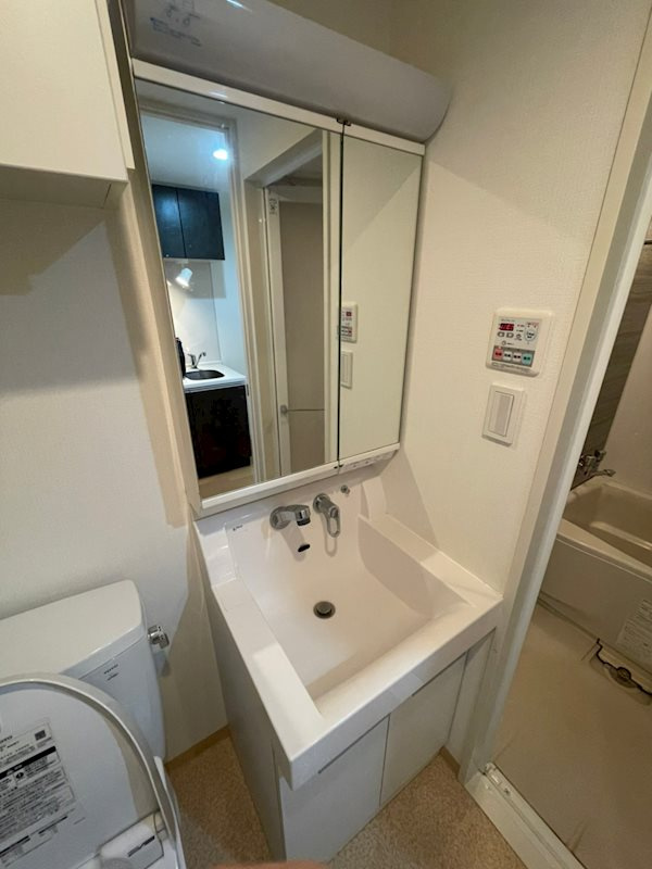 S-FORT船橋本町の洗面所