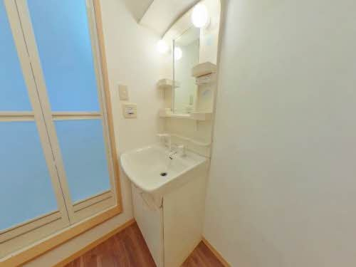 シャーメゾン・フレール D棟の洗面所