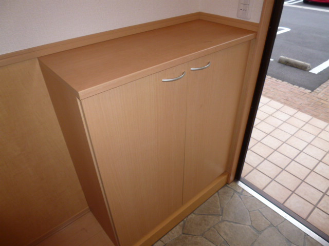 ヴィスタ桑田Ⅷの玄関|シューズボックス