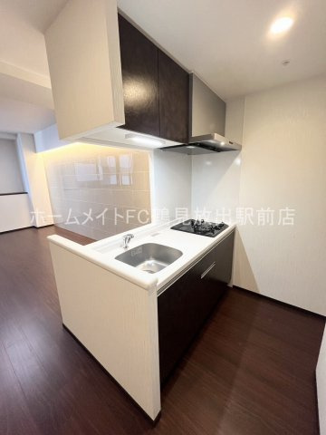 東大阪市長田中１丁目の賃貸マンションのキッチン