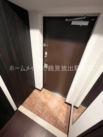 東大阪市長田中１丁目の賃貸マンションの玄関