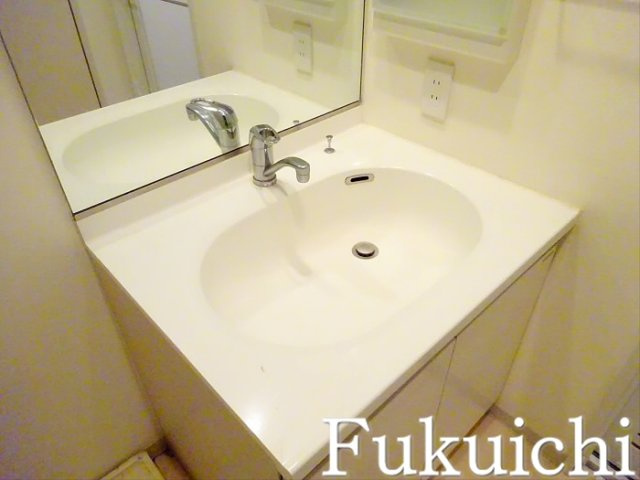 エスティメゾン都立大学の洗面所