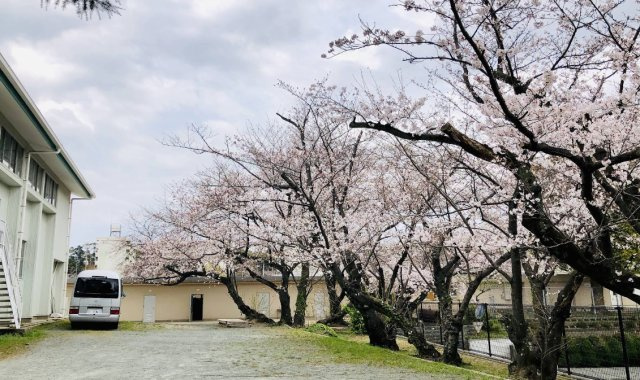 福岡県北九州市　一棟マンションのその他