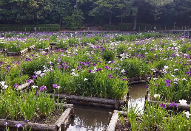 福岡県北九州市　一棟マンションのその他