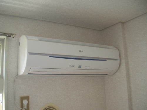 エヴァーグリーン・ノースのその他