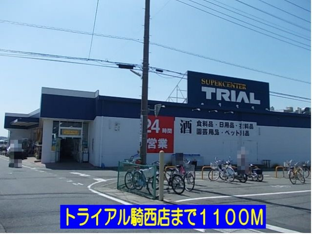 マードレ六番館の周辺|トライアル騎西店まで1100m