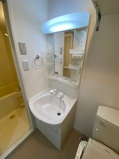 アクロス神戸住吉ステーションフロントの洗面所