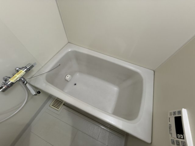 アルティジア・レジデンス緑地の浴室