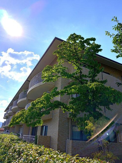 ハイラーク双ヶ丘 参番館のその他