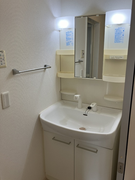 コモド伊勢崎Ⅱの独立洗面台|洗面所