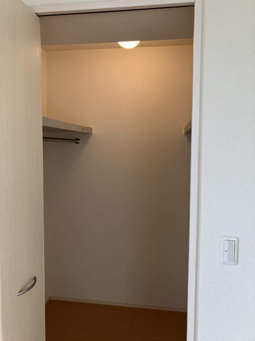 コモド伊勢崎Ⅱの収納|南洋室クローゼット