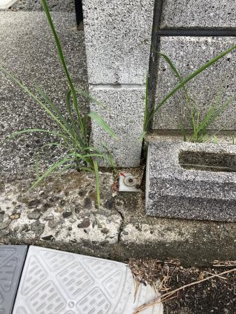 土居田　土地（一般）の外観
