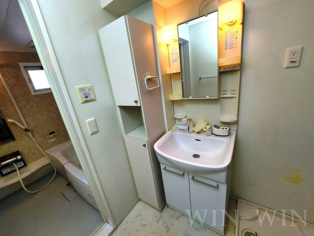 ノワール北島の独立洗面台