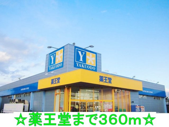 ブロッサムⅠの周辺|薬王堂まで360m