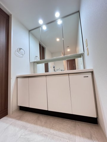 大阪市都島区毛馬町２丁目の賃貸マンションの洗面所
