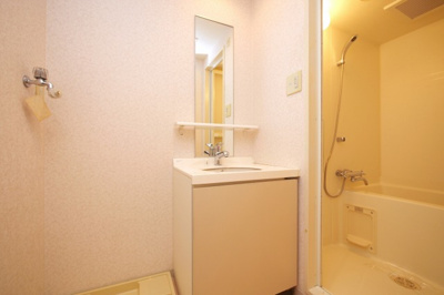 【独立洗面台】 | ウィルテラスなんば南（旧：サムティナンバ南）