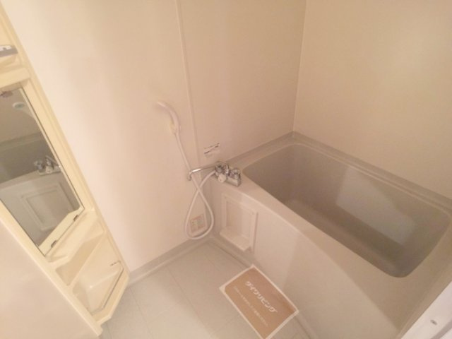 ルミエール赤坂の浴室