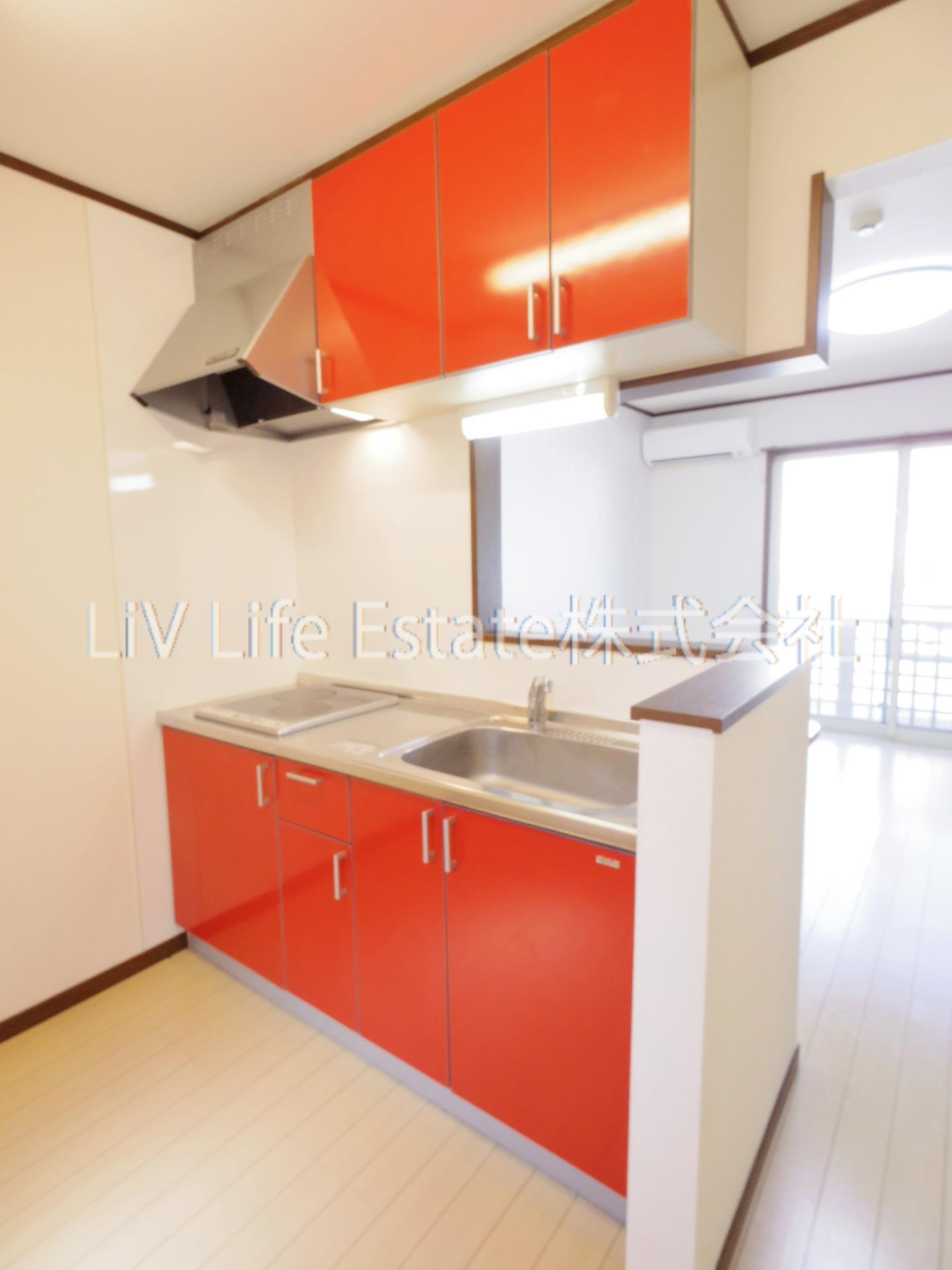 ビガライトビレッジIIのキッチン