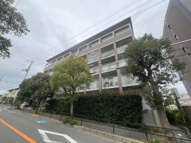 シプレスの画像