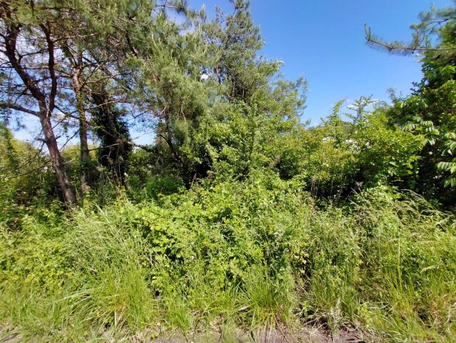 【周辺】の画像