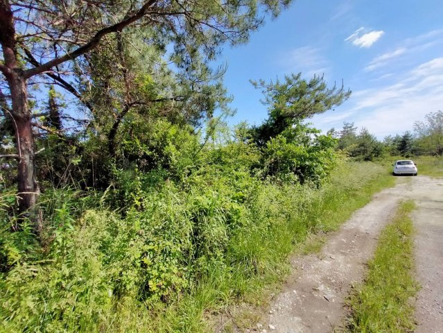 【周辺】の画像