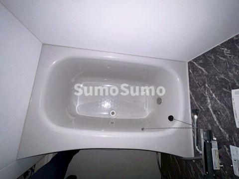 Villa Chaton 高丸(ネコと私の家)の浴室|お風呂です