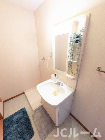 柏崎市西山町鬼王の賃貸マンションの洗面所