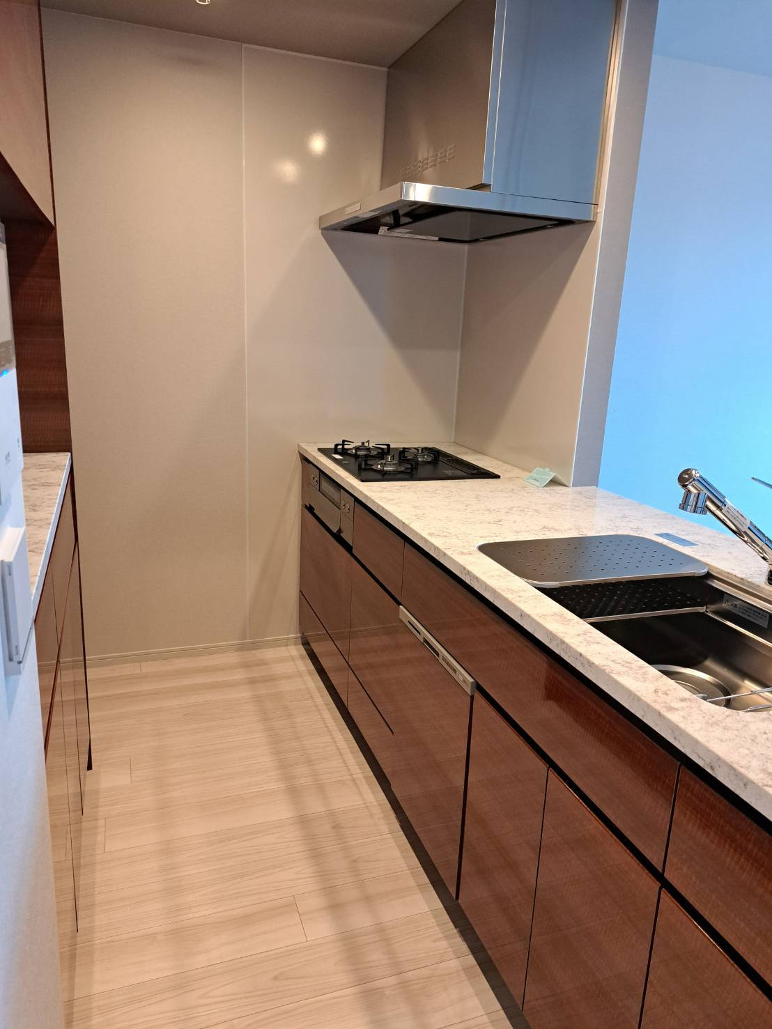 ＨＡＲＵＭＩ　ＦＬＡＧ　ＰＡＲＫ　ＶＩＬＬＡＧＥ　Ｆ棟のキッチン