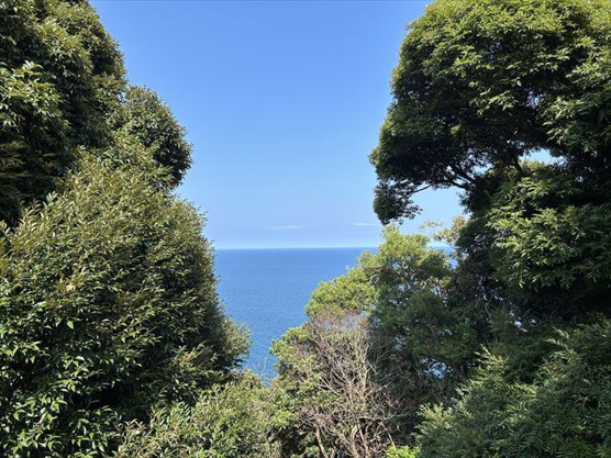 【展望】 | 富戸望洋台　戸建