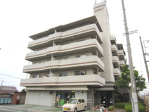 シャイニーカジモトの画像