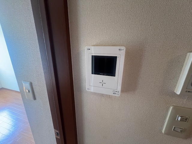 ヴァン・ドゥ・ラ・リベルテのセキュリティ