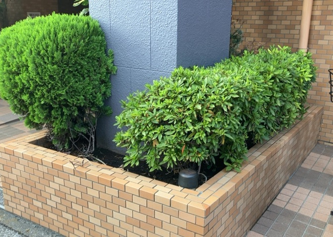 【庭】 | ライオンズマンション淵野辺 | 物件によっては、入居者が個人的に使用できる専用庭がついているものもあります。また、住宅の中にある土間の部分を庭と呼ぶこともあります。庭の用途は住む人によって変わり、それによってデザインもさまざまです。