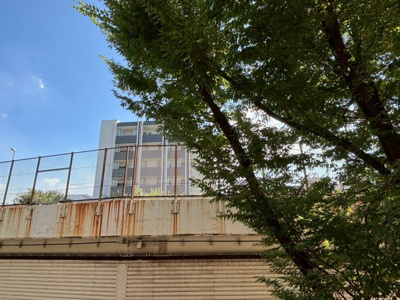 【展望】 | メインステージ桜上水