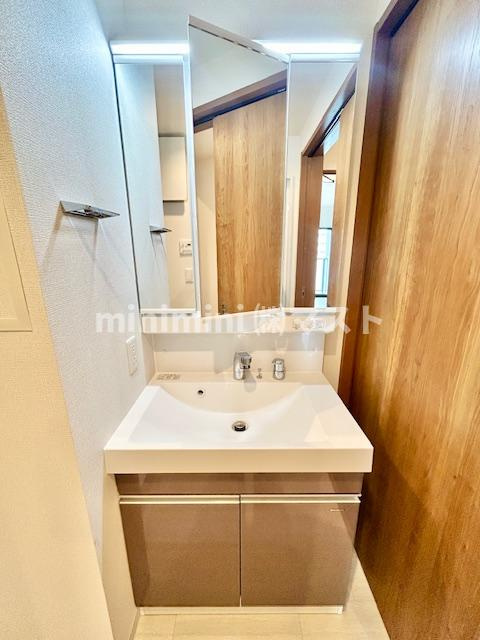 ロイジェント玉川の洗面所