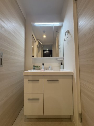 フレグランス奥沢の洗面所