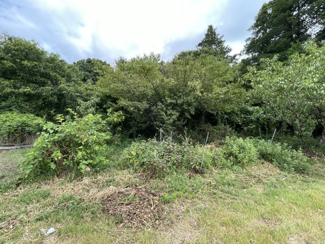 つくば市稲荷原　10年特例用地の前面道路含む現地写真